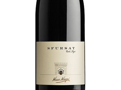 Sfursat valtellina carlo negri 2019