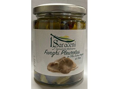 I Saraceni Funghi pleurotus evo g.240 i saraceni