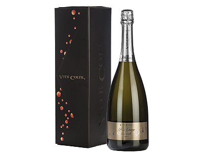 Alta langa vite colte brut 2020