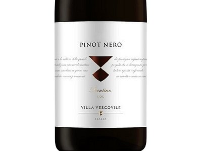 Villa Vescovile Pinot nero trentino 2023 villa vescovile