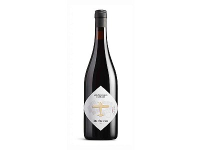 Montepulciano riserva 2019 di sipio